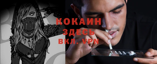 Альфа ПВП Корсаков