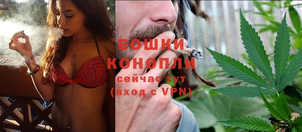 Альфа ПВП Корсаков