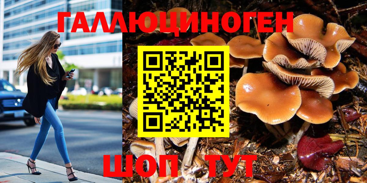 Галлюциногенные грибы мицелий  Галлюциногенные грибы ЛСД  Реж  Вход с VPN 