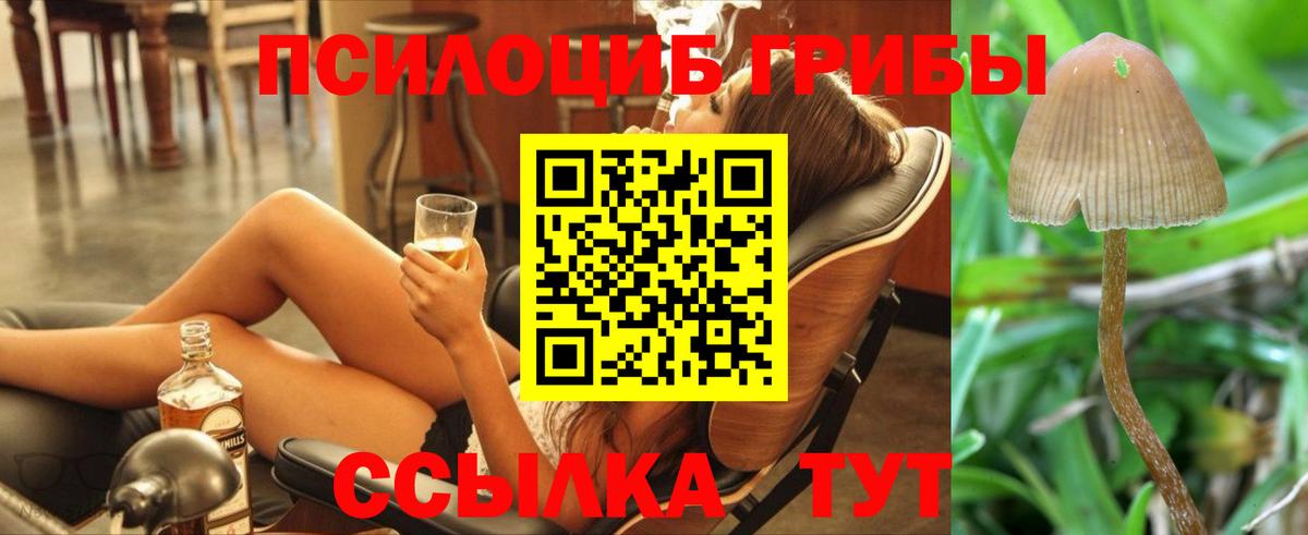 Галлюциногенные грибы GOLDEN TEACHER  Вход с VPN  Реж 