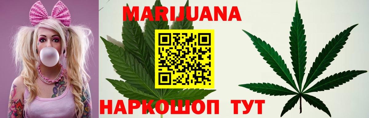 Шишки марихуана планчик  Вход с VPN  Бошки марихуана семена  Реж  Канабис VHQ 